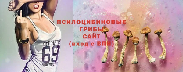 гидра Рославль