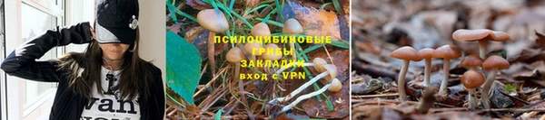 скорость mdpv Россошь