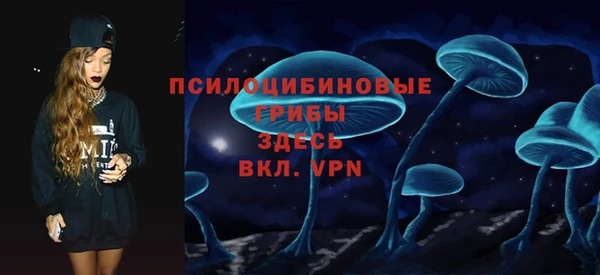дживик Саяногорск