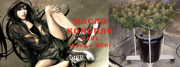 гидра Рославль