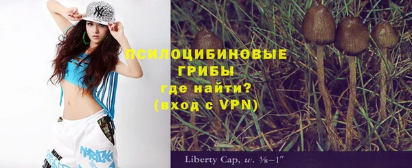 сатива Сафоново
