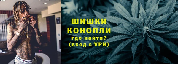 гидра Рославль