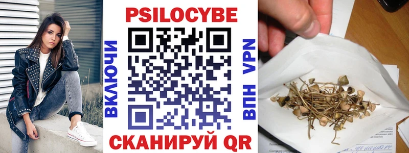 Псилоцибиновые грибы Psilocybe  Спас-Деменск 